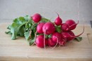 Bewitched by Radishes & Chocolate