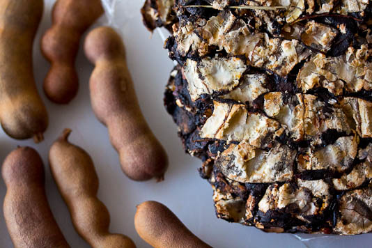 Dried Tamarind Block and Pods