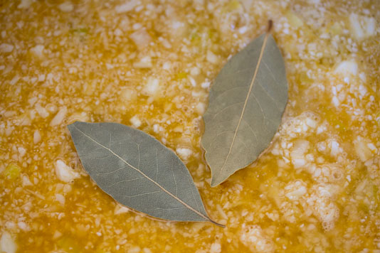 Bay Leaves in Soup