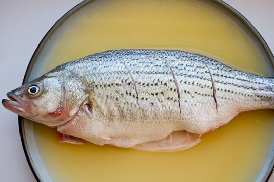 Fish In Chicken Stock