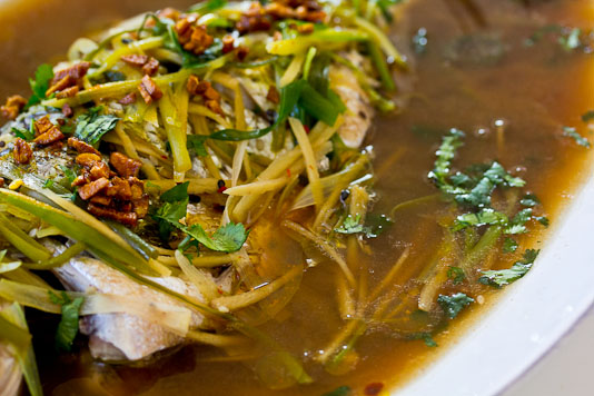 Steamed Fish with Ginger and Scallions Broth