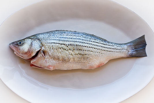 Whole Striped Bass