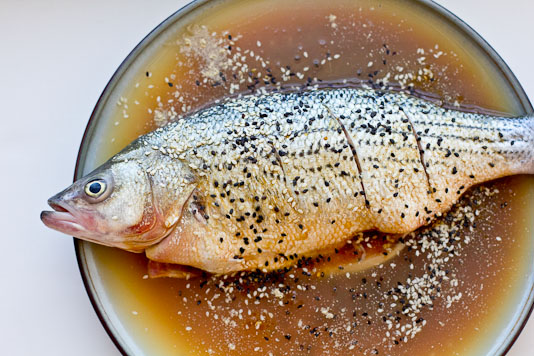 Fish with Soy Sauce, Sesame Seeds and White Pepper