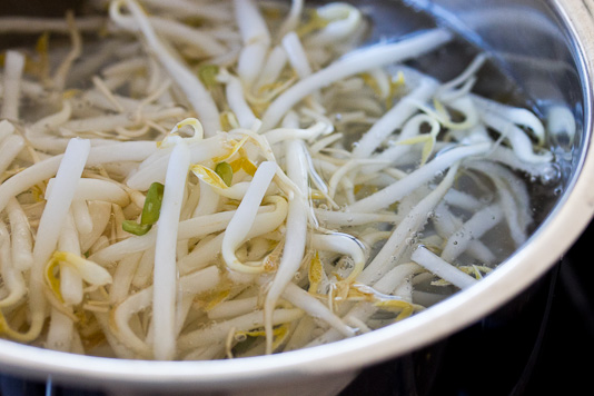 Sprouts for Laksa