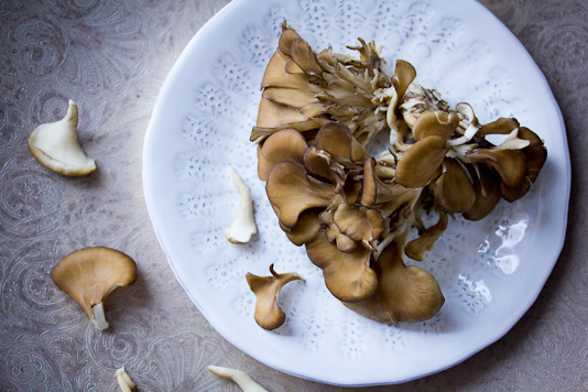 Maitake Mushrooms