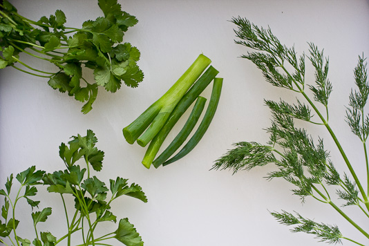 Parsley, Cilantro, Dill, Scallions