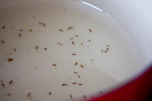 Oil with Cumin Seeds