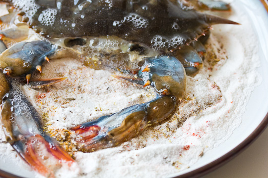 Soft Shell Crab in Rice Flour