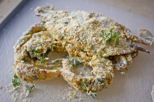 Soft Shell Crab with Cornmeal