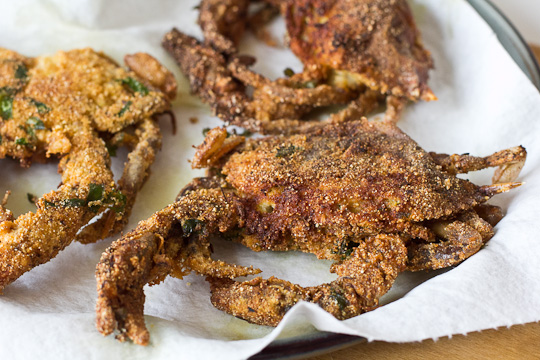 Fried Soft Shell Crab