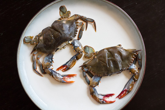 Crab Po Boy-crabs
