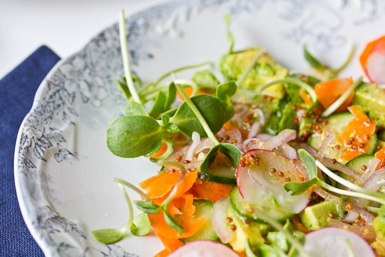 Plate of Sunflower Sprouts Salad