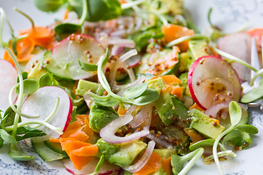 Sunflower Sprouts Salad with Mustard Dressing