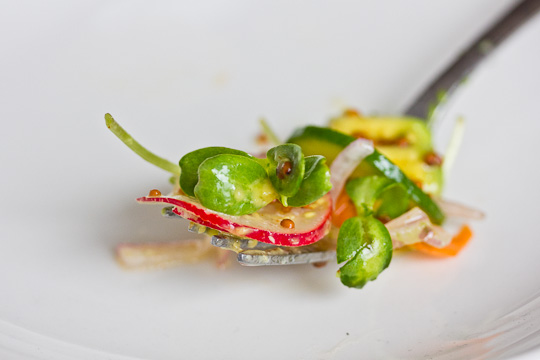 Perfect Morsel: Sunflower Sprouts in Salad