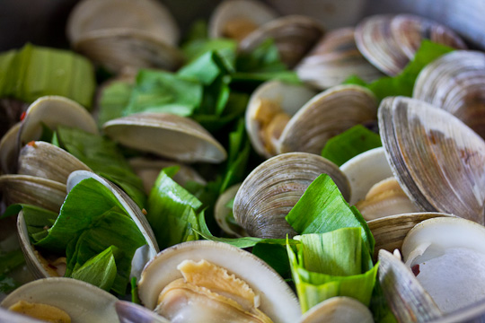 Sauteed Ramps with Clams
